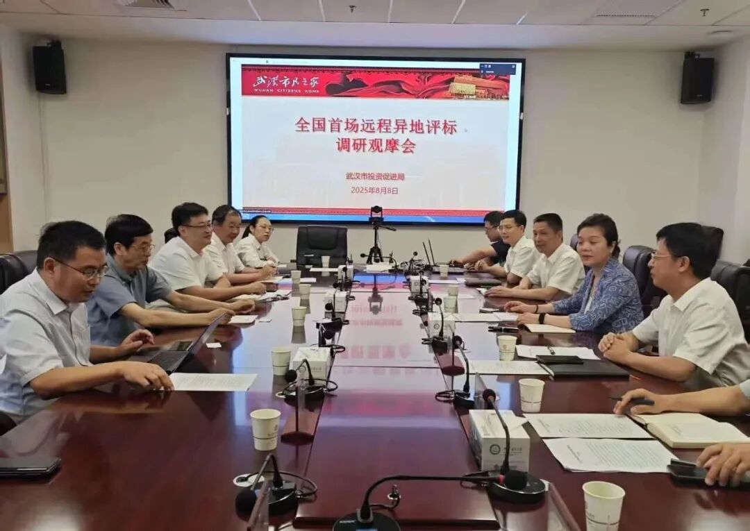 遠程異地評標,湖北首例執行、首個“點亮”